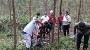 Geger..!! Di Temukan Mayat Tinggal Tulang Di Akasia PT WKS.