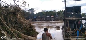 Di Duga aktivitas PETI Serobot lahan kelapa sawit milik KUD Desa Peninjauan