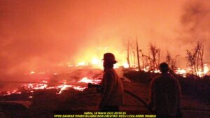 Kandang Ayam Broiler Di Desa Perintis Terbakar, Pemilik merugi Miliaran Rupiah