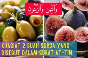 2 Buah Ini Disebut di Alquran, Bisa Turunkan Kolesterol
