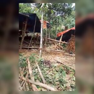 Rusak Kebun Kulit manis dan Kopi Warga, Sekdes Air Liki Baru Dilaporkan