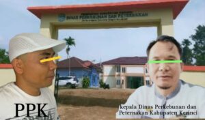 Diduga Abaikan Mutu dan Kualitas Jalan Produksi, Dinas Perkebunan dan Peternakan Kabupaten Kerinci Bungkam