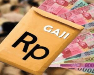 Miris, 371 PPPK Dilingkungan Pemda Tebo Belum Menerima Gaji Selama Dua Bulan