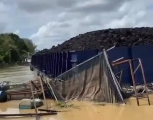 Viral di Media Sosial, Tongkang Batubara Tabrak Kerambah Ikan Di Muaro Jambi