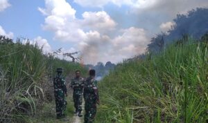 Lahan Puluhan Hektar Di Tanjung Johor Terbakar, Kapolsek Pelayangan : Pemilik Lahan sudah Diamankan