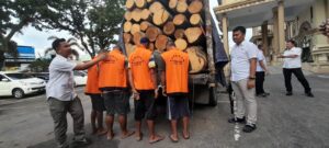 4 Pelaku Bawa Kayu Ilegal Di Tangkap Tim Ditreskrimsus Polda Jambi