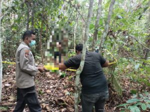Seorang Pria Ditemukan Tewas Gantung Diri di Perkebunan Karet Desa Tanah Garo
