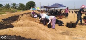 Hore..!!! PT Trimitra Lestari Tebing Tinggi, Buka Lapangan Pekerjaan Bagi Warga Sekitar