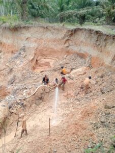 PENAMBANG PETI TEBO ILIR SUNGAI BENGKAL BARAT KEBAL HUKUM