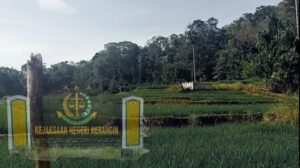 Apa Kabar Kasus Cetak Sawah Merangin? Ade Hary Desak Penyidik Tetapkan Tersangka