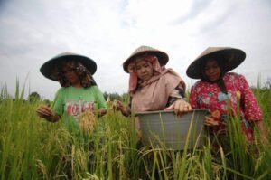 Hj,Masnah Busro Wanita Inspiratif yang di Harap Kan Masyarakat Muaro Jambi