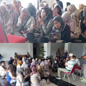 Pak Prabowo, Ratusan Honorer di Merangin Terancam Gagal Seleksi PPPK 2024