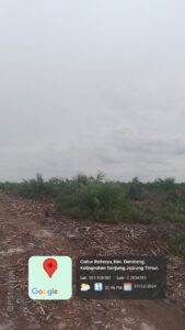 Lagi -Lagi Temuan Fakta Baru Dugaan Mafia Lahan Hutan Kawasan Kecamatan Dendang