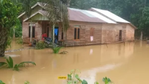 Banjir Melanda Dua RT di Dusun 1 Desa Kuala Dasal