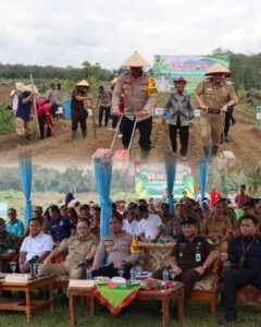 Polres Tebo Bersama Pemda Tanam Jagung Serentak Dukung Ketahanan Pangan