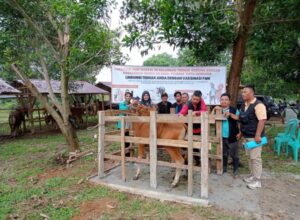 Vaksinasi PMK di Kalangan Ternak Kedung Berkah oleh Poskeswan Rimbo Bujang dan Pemdes Tirta Kencana