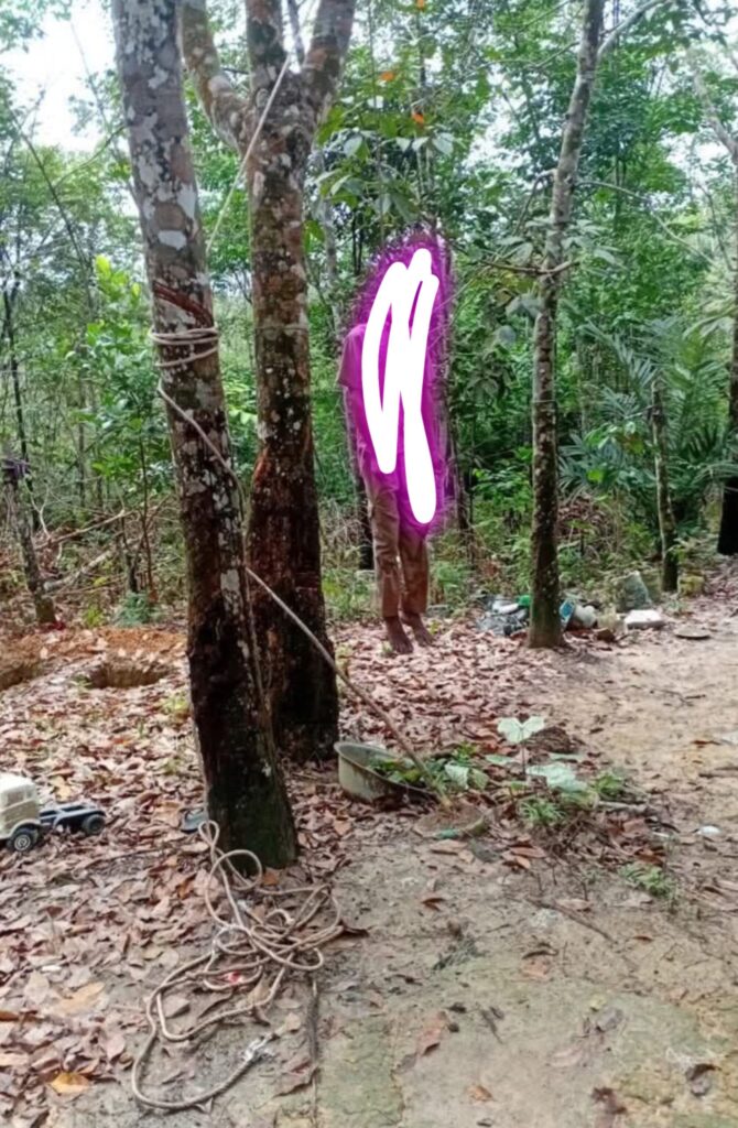 Heboh ..!!! Seorang Pria Ditemukan Tewas Gantung Diri di Perkebunan Karet