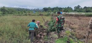 Selain Kegiatan Fisik, Satgas TMMD Ke-123  Buka 2 Hektar Lahan Ketahanan Pangan