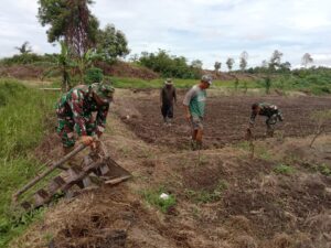Satgas TMMD Ke-123 Kodim 0416/Bute Bersama Warga Bersihkan Lahan Ketahanan Pangan