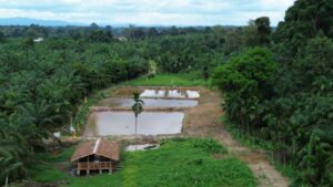 Satgas TMMD Ke-123 Rampungkan Program Ketahanan Pangan di Desa Teluk Kuali