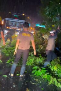 Respons Cepat! Satlantas Tebo Amankan Lokasi Pohon Tumbang di Malam Hari