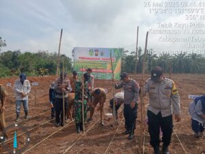 Penanaman Jagung di Desa Teluk Kayu Putih, Dukung Ketahanan Pangan dan Program Makan Gratis