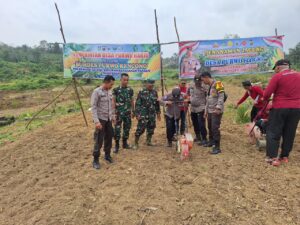 Sinergi Desa dan Pemerintah: Jagung Ditanam, Ketahanan Pangan Diperkuat