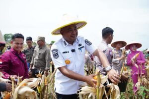 Bupati Tebo Agus Rubiyanto Hadiri Panen Raya Jagung Serentak Kuartal II 2025 di Desa Sumber Sari