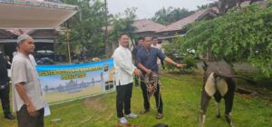 Polres Tebo Laksanakan Penyembelihan Hewan Kurban Sambut Idul Adha 1446 H