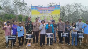 Polsek Sumay dan Forkopimcam Tanam Jagung Serentak Dukung Ketahanan Pangan
