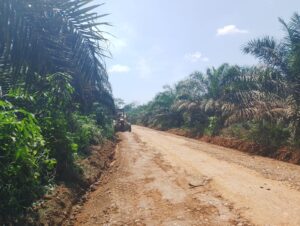 Jalan Perbatasan Bangun Jayo–Lantak Seribu Mulai Diperbaiki, Warga Sambut Gembira