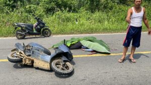 Tabrak Lari di KM 16 Arah Desa Kandang, Satu Korban Tewas di Tempat