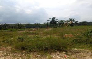 Aktivitas PETI Masih Marak di Merangin, Diduga Milik Warga B5 Mampun Baru