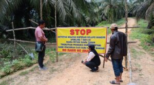 Petani Koperasi Kelapo Mandiri Protes PT Adimulia Palmo Lestari : Mogok Kerja dan Jalan ke Kebun Dipagar