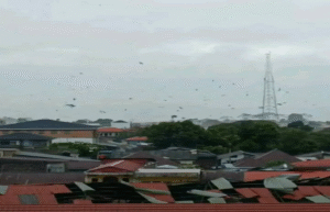 Puting Beliung Terjang Pasar Kersik Tuo Kerinci, Rumah dan Lapak Pedagang Rusak Parah