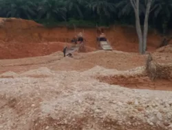 PETI di Tanjung Benuang diduga Milik ” BL ” Menggila, Lingkungan Rusak, Aparat Bungkam