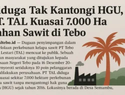 PT. TAL Diduga Kuasai 7.000 Ha Lahan Sawit Tanpa HGU Sejak 2016