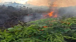 Kebakaran Lahan PT TAL, ini Yang dikatakan Dirut PT TAL!!!