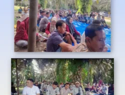 PT. APL Gelar Sosialisasi BPJS Ketenagakerjaan di Bawah Rindangnya Sawit, Suasana Santai tapi Bermakna