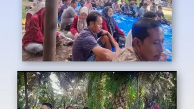 PT. APL Gelar Sosialisasi BPJS Ketenagakerjaan di Bawah Rindangnya Sawit, Suasana Santai tapi Bermakna