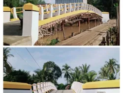 Pembangunan Jembatan Nipah Panjang Satu Rampung, Warga Sampaikan Terima Kasih kepada Pemda Tanjab Timur