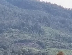 Diduga AH Oknum Pengajak Perambah TNKS Puluhan Hektare, Warga Renah Alai Resah