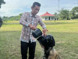 Usai Diksar, IAI Tebo Resmi Kukuhkan Anggota Baru Menwa