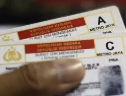 SIM Habis 2026? Ini Biaya Perpanjangan dan Cara Cek Keasliannya