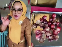 Viral! Kepala Sekolah Ungkap Makanan MBG Tak Layak, Program Disorot