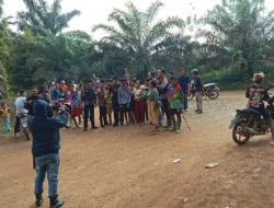Pengamanan Dugaan Pencurian Sawit di PT APL Diwarnai Aksi Anarkis