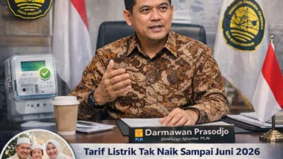 Pengamat: Ekonomi RI Masih Stabil, Tekanan Lebih Terasa di Level Mikro