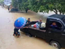 Babinsa Kodim 0416/Bute Sigap Evakuasi Warga Terdampak Banjir di Desa Bedaro