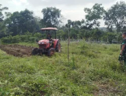TMMD Ke-129 Tak Hanya Bangun Jalan, Kini Siapkan Lahan Ketahanan Pangan