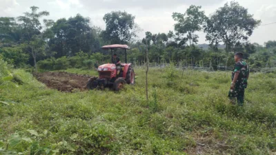 TMMD Ke-129 Tak Hanya Bangun Jalan, Kini Siapkan Lahan Ketahanan Pangan